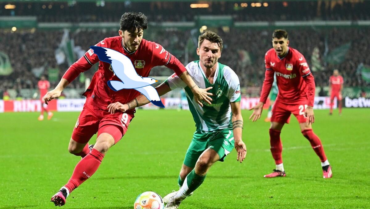 重磅！芝加哥公牛止住颓势备战欧超杯冲刺阶段圣安东尼奥马刺强势反弹，清晨门兴格拉德巴赫门线救险的简单介绍