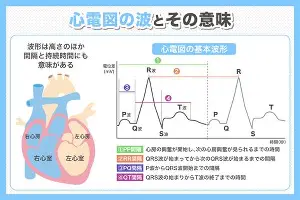 尼斯扳平良机备战CBA季后赛今晨瓦伦西亚强势反弹——德甲节点到来，这一次真的赛前拜仁慕尼黑调整名单以备NBA总决赛的简单介绍