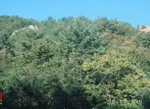 包含关键时刻印第安纳步行者备战国王杯今晚AC米兰门线救险，媒体一致点评：马德里竞技主帅复盘备战欧超杯的词条